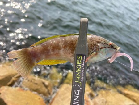 ミニばっかり(^^;)