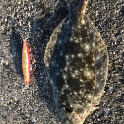 今季　初フラット！