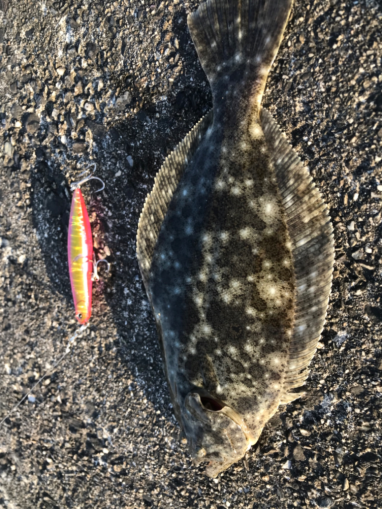 今季 初フラット!