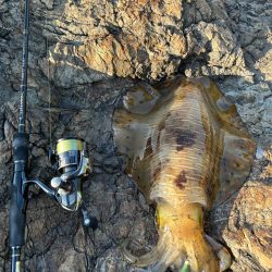 自己記録更新‼️…