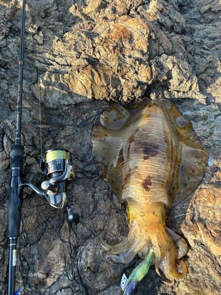 自己記録更新‼️…