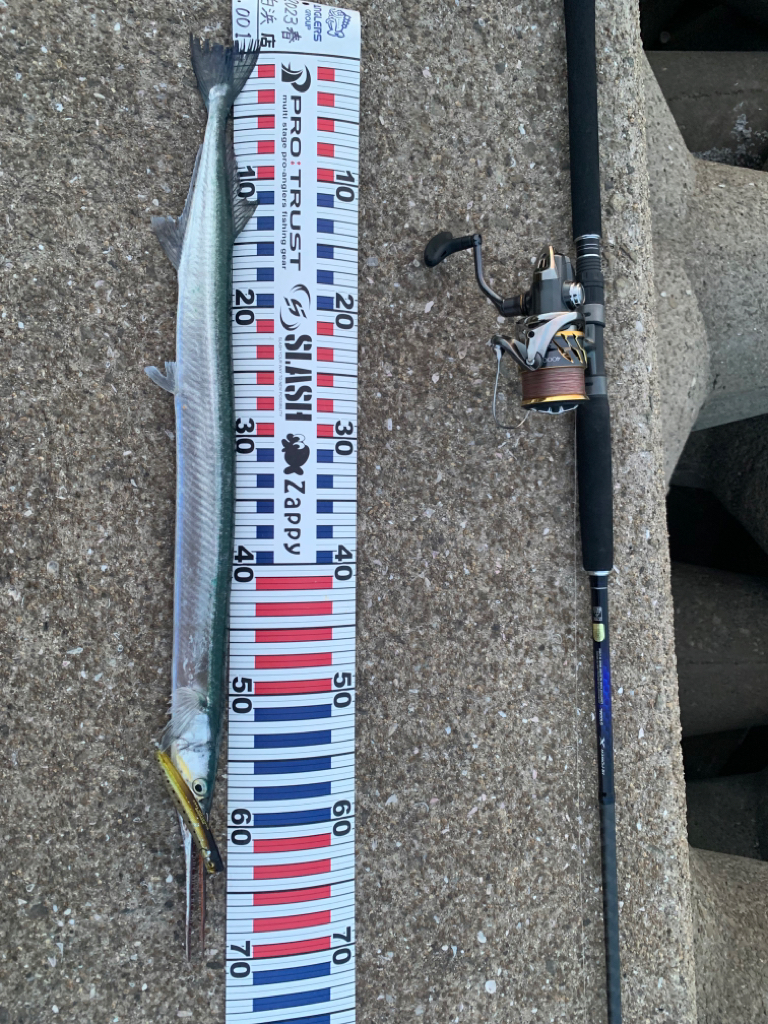 今年も細長いアイツの季節がやってきた？