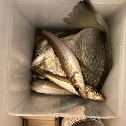 最後に少し報われる