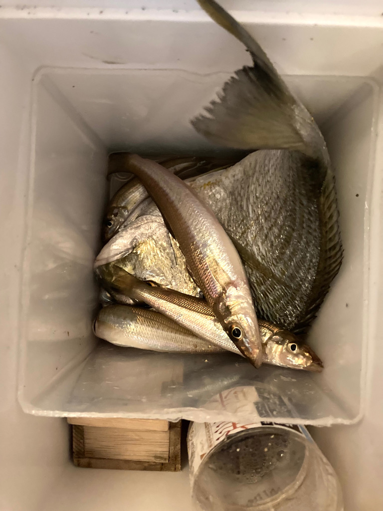 最後に少し報われる