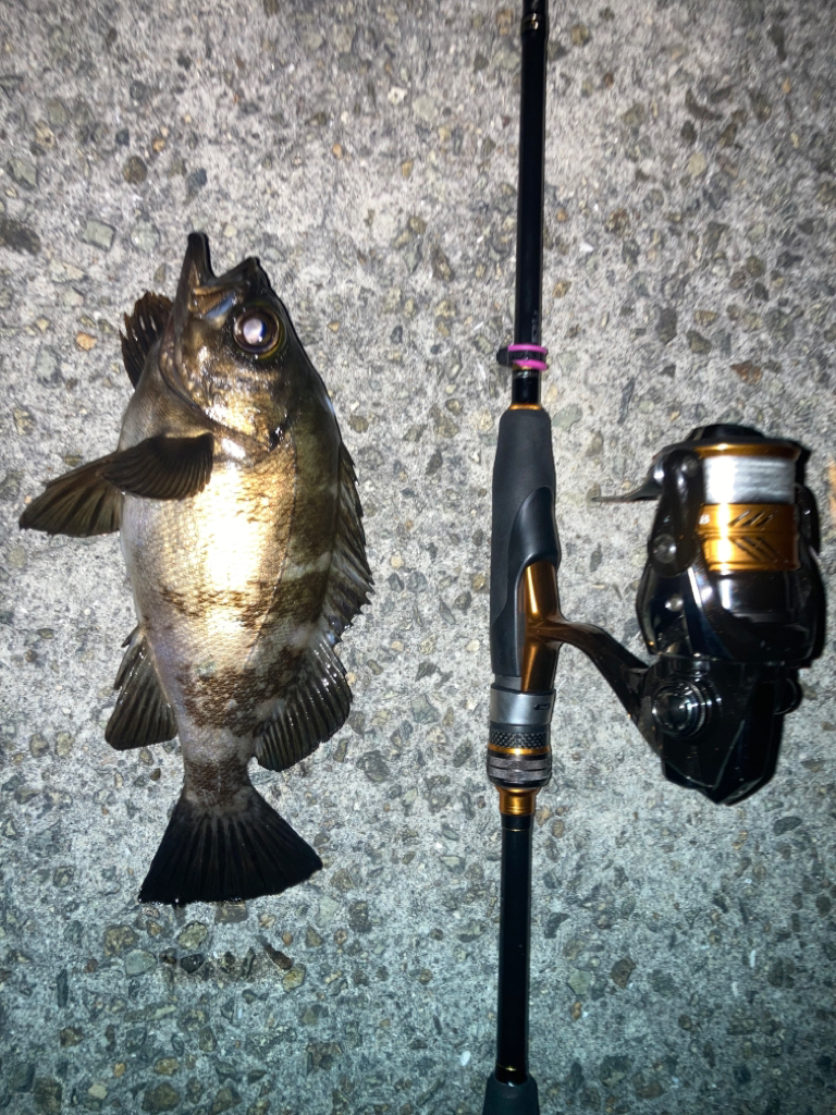 2023ライトゲーム第20戦