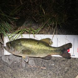 アフターにはブルフラ4.8！！