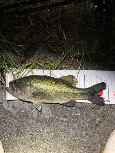 アフターにはブルフラ4.8！！