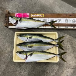 ハマチ/キャスティング