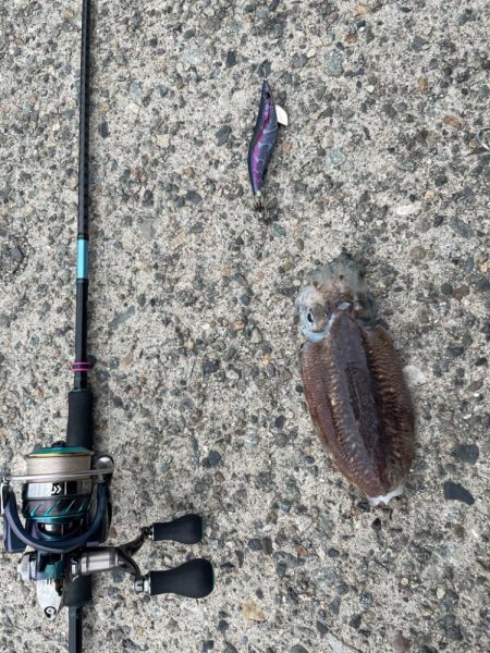 仕事帰りの日課