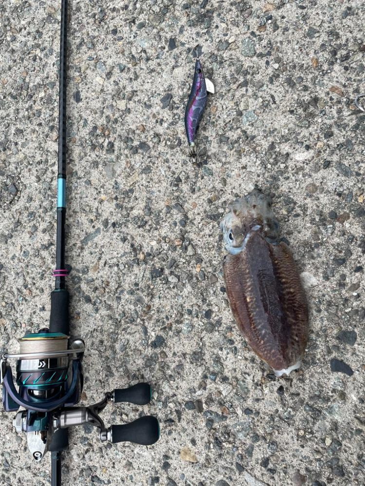 仕事帰りの日課