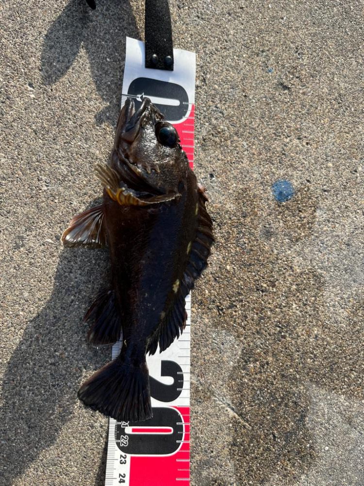 GWライトゲーム