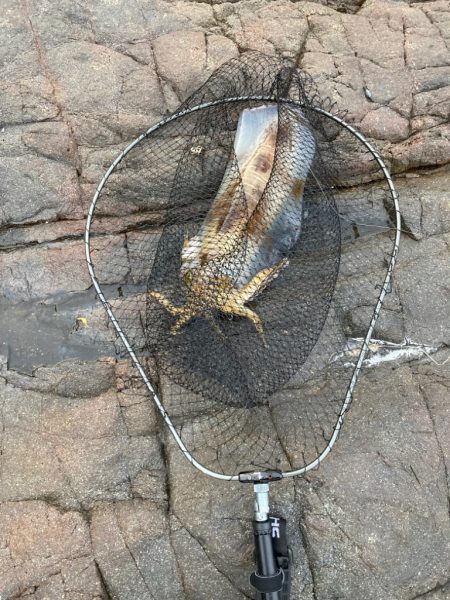 ２キロオーバー