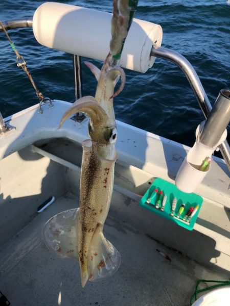 ヤリイカ イカメタル