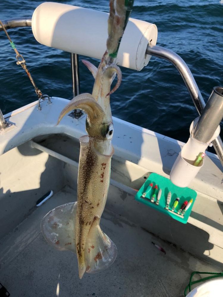 ヤリイカ イカメタル