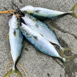 ショアジギング