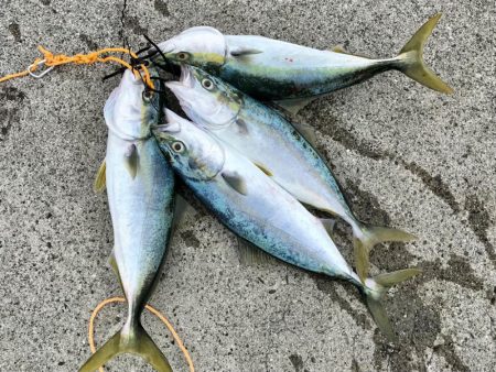 ショアジギング