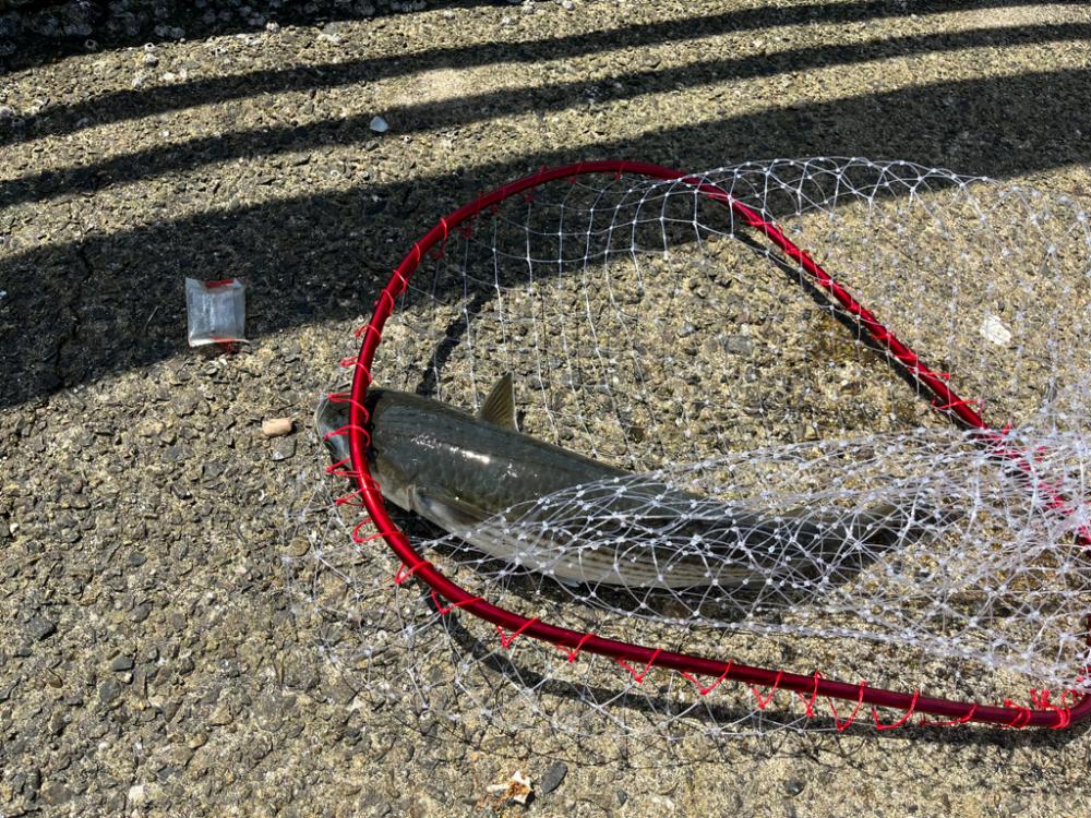 何もないよりは・・・・