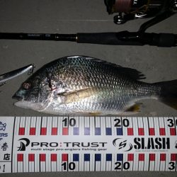 ２投目ヒット！