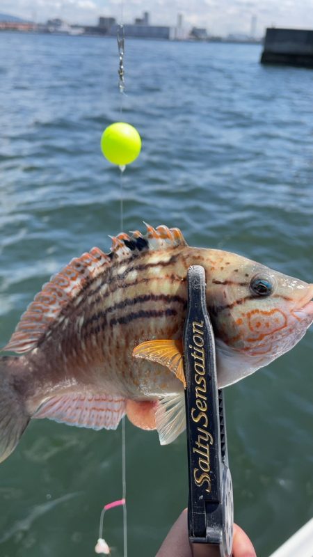 のんびりとエサ釣り&ボートアジング…