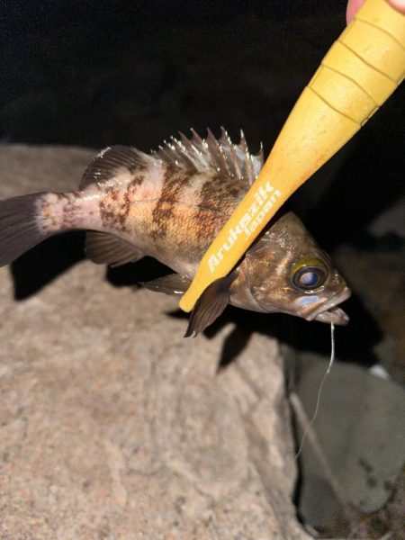 久々のフロートゲーム