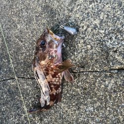 GWライトゲームin小浜