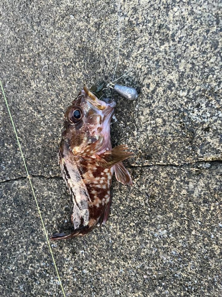 GWライトゲームin小浜