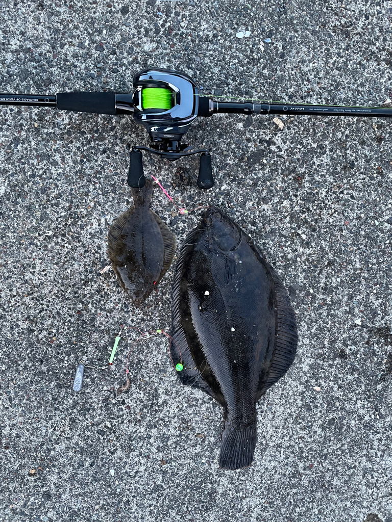 久々のカレイ釣り