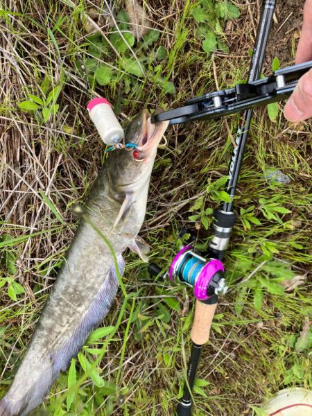 コロネット2っておもちゃみたいなリールで3…