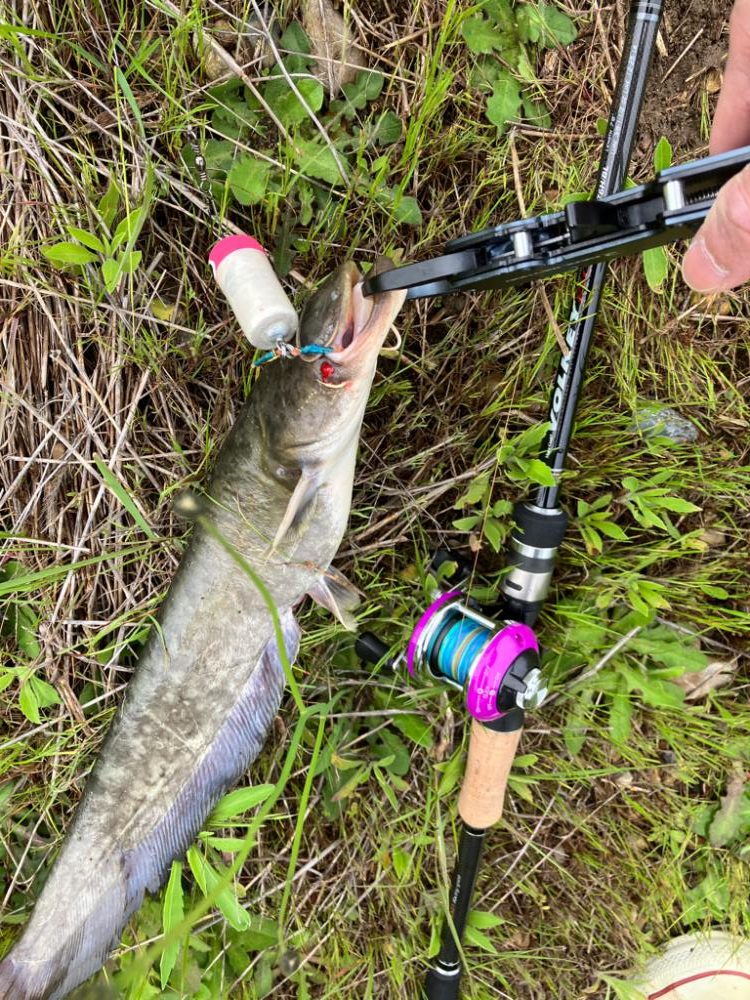 コロネット2っておもちゃみたいなリールで3連発