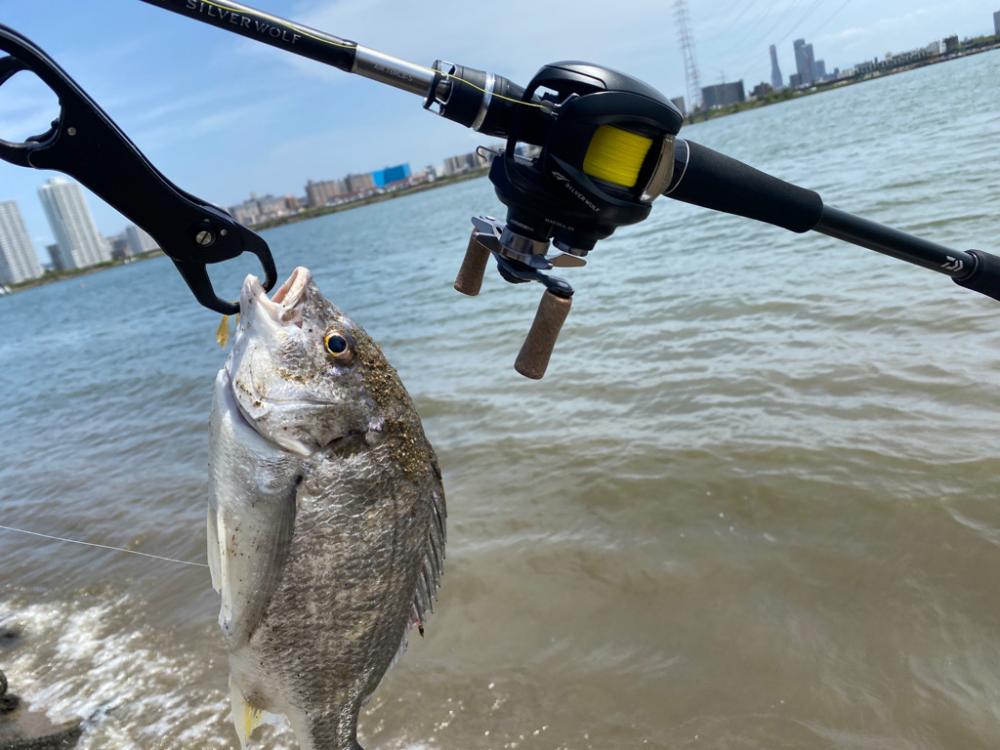 淀川昼間の干潮潮止まり