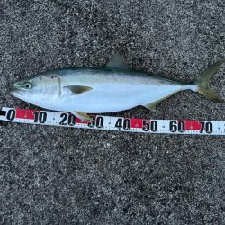 アフター部活動