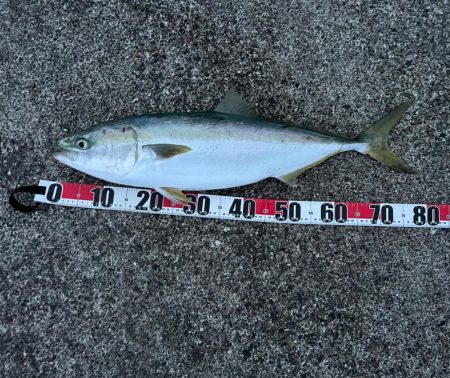 アフター部活動