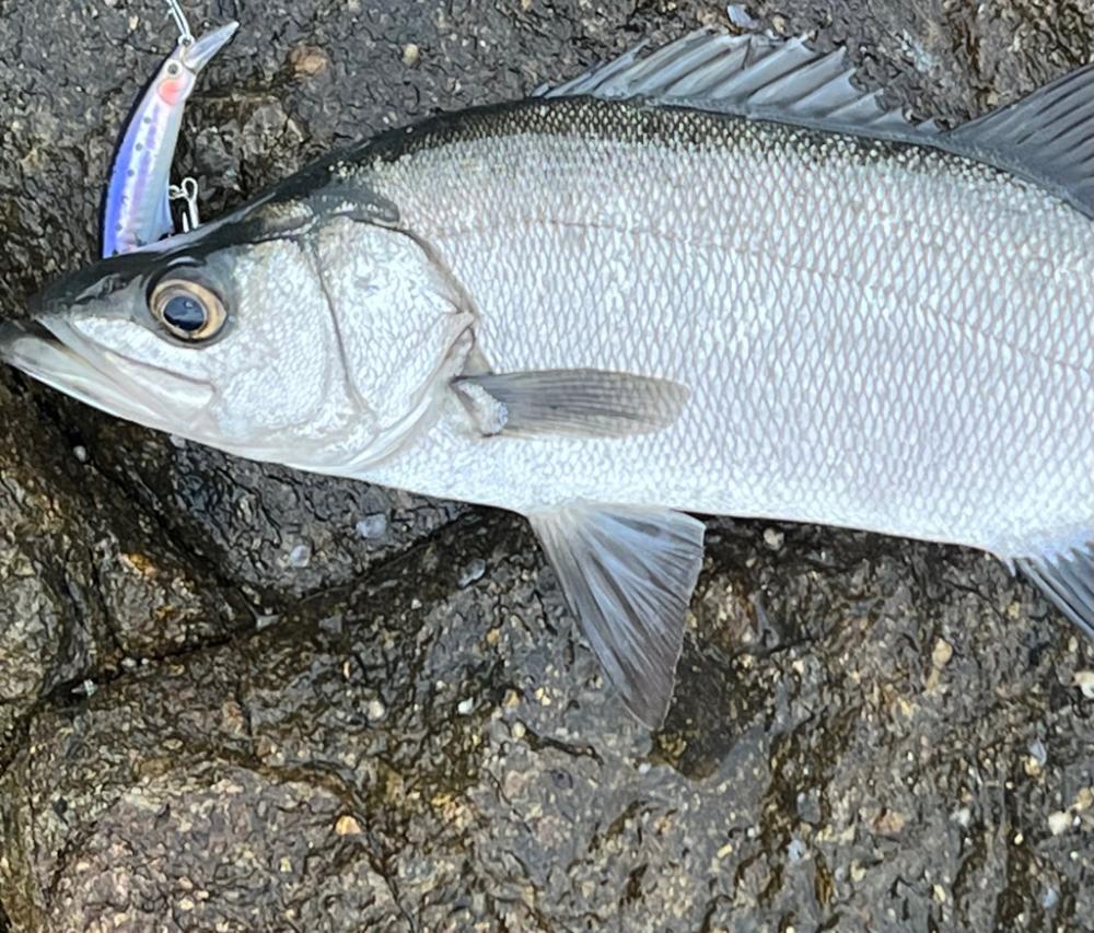 2度あることは3度あった〜