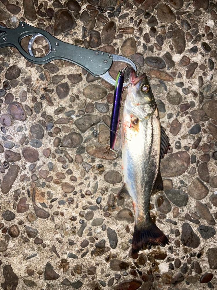 ⭐️リベンジ成功