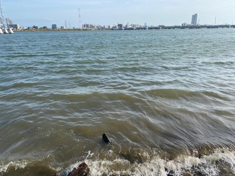 淀川ブリームゲーム