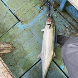 サワラキャスティング神戸