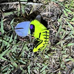 このタックルではじめて釣れたのは？