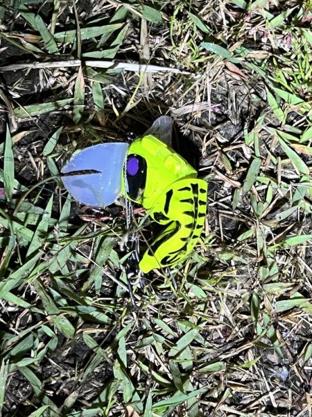 このタックルではじめて釣れたのは？