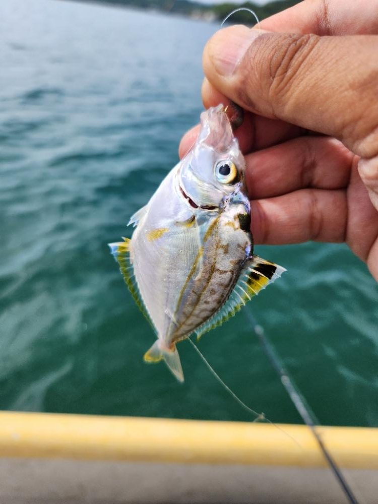 久しぶりのボートキス