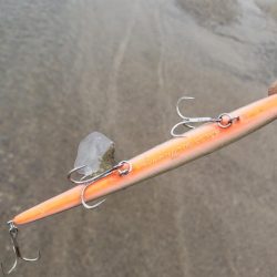 こんなとこに居る?