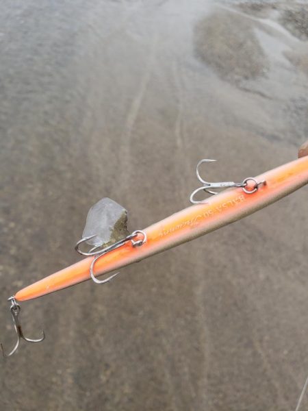 こんなとこに居る?