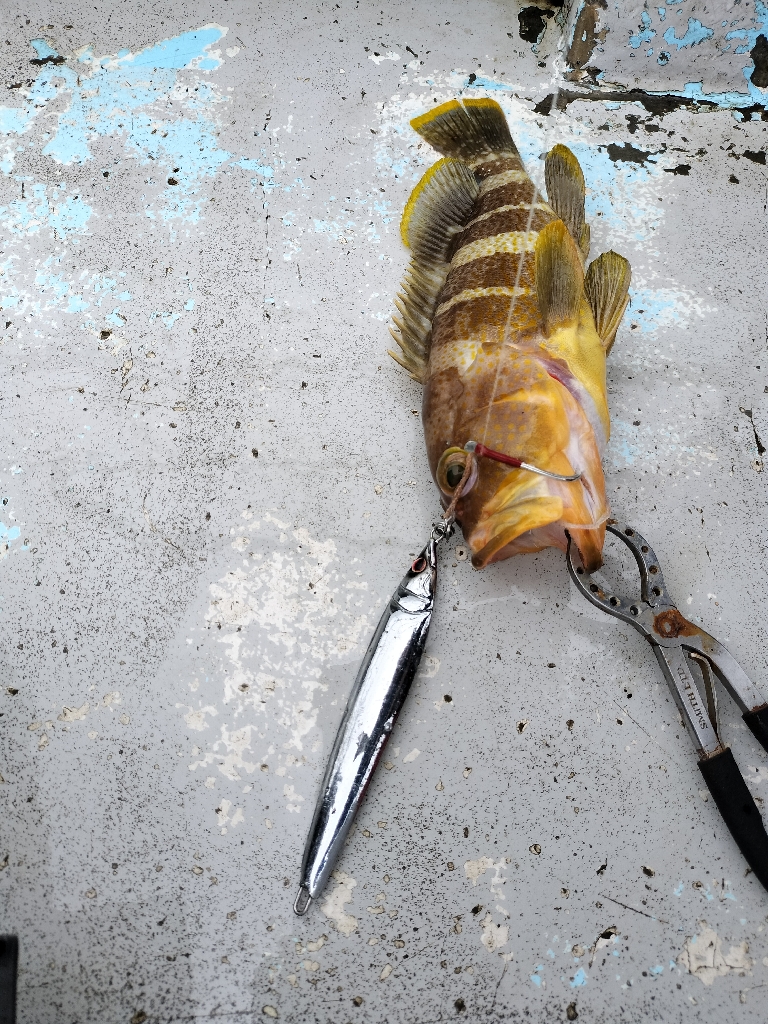 オシアカップ丹後に参加してきました