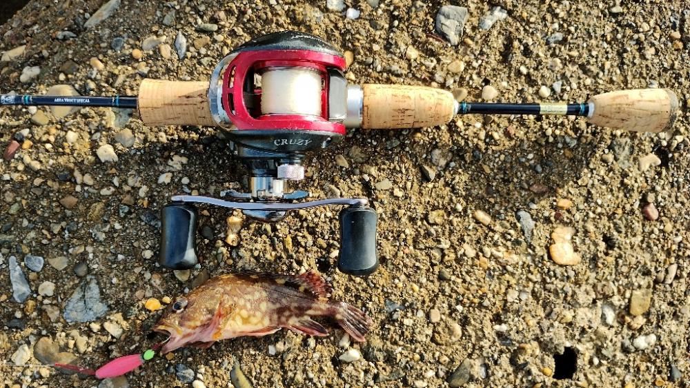 ショアジギングのち穴釣り