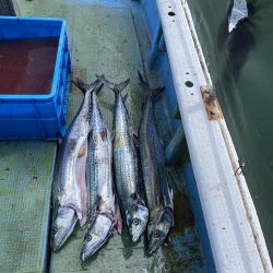 第３回神戸サワラキャスティング