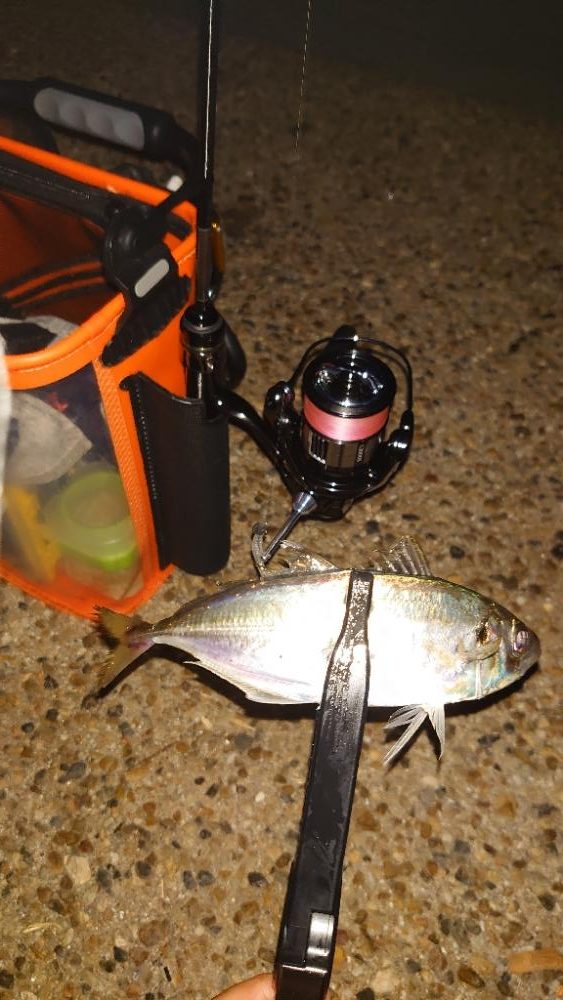 やっぱりアジングは難しいね!