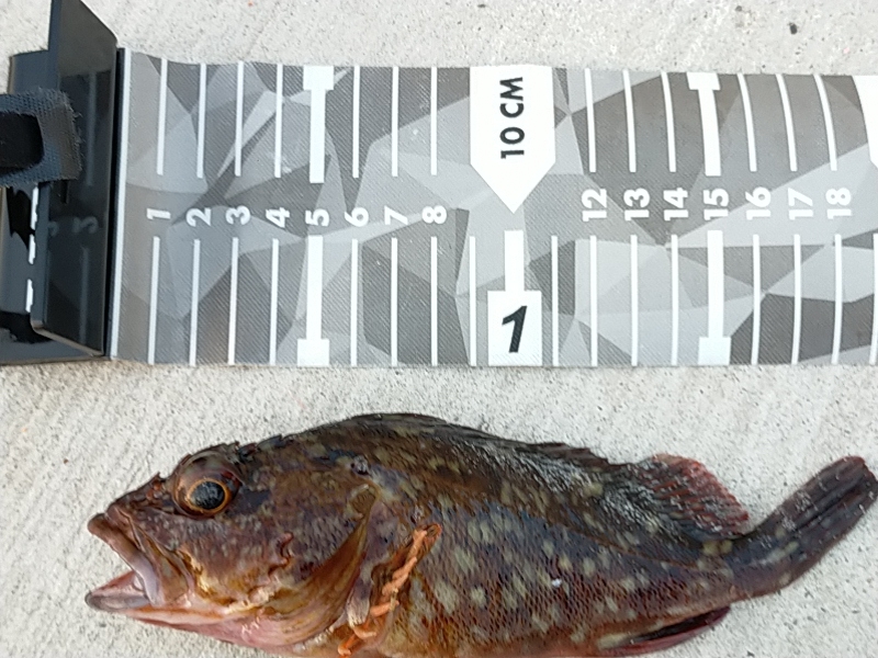 兵（つわもの）どもが夢の跡…