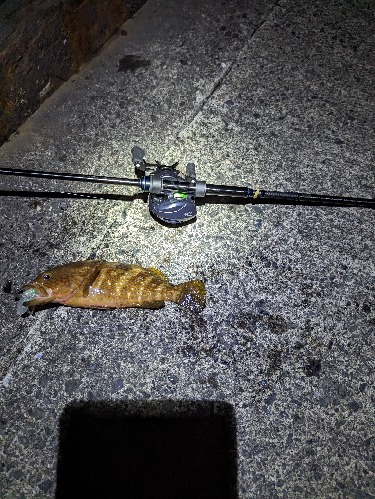 陸っぱり釣行記