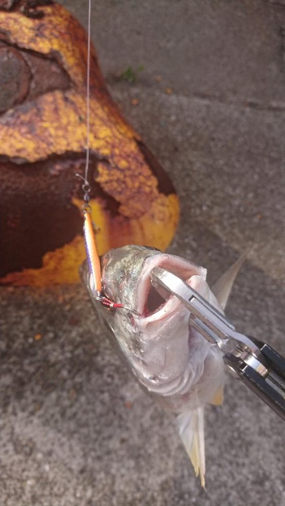 2023 停泊船ゲーム1回目