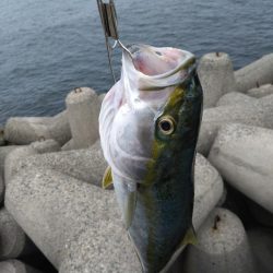 春シーズン終了間近？