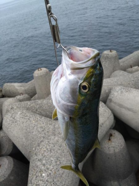 春シーズン終了間近？